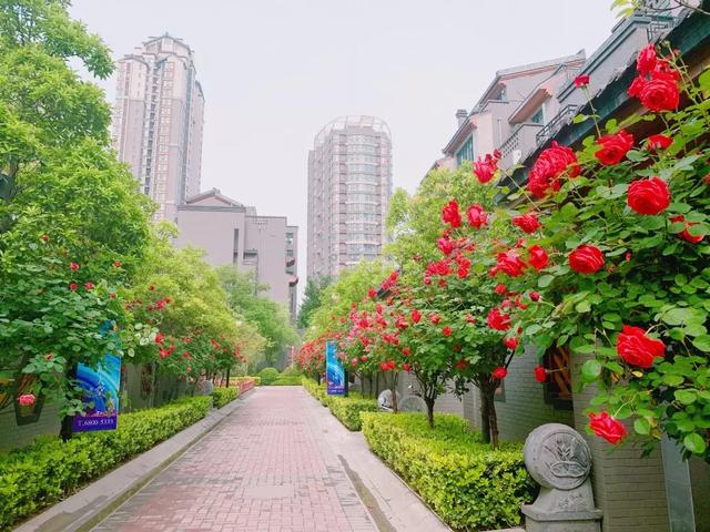 亚星会员登录